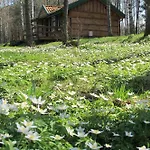 Na Lesnej Polanie