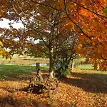 Na Lesnej Polanie Holiday home Lidzbark Warminski
