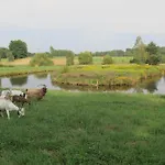 Na Lesnej Polanie Лидзбарк-Варминьский