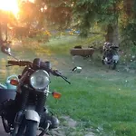 Na Lesnej Polanie *