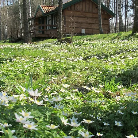 Na Lesnej Polanie