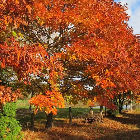 Na Lesnej Polanie بيت للعطل