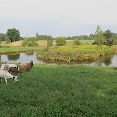 Na Lesnej Polanie ليدزبارك فارنيتسكي