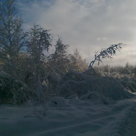 بيت للعطل Na Lesnej Polanie *